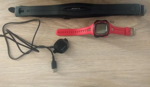 Garmin Forerunner 15