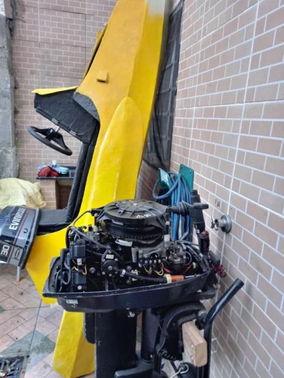 Motor de Popa Evinrude 30hp