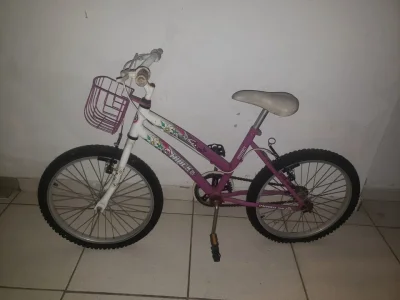 Bicicleta Juvenil Feminina Trackbikes Aro 20 com Cestinha