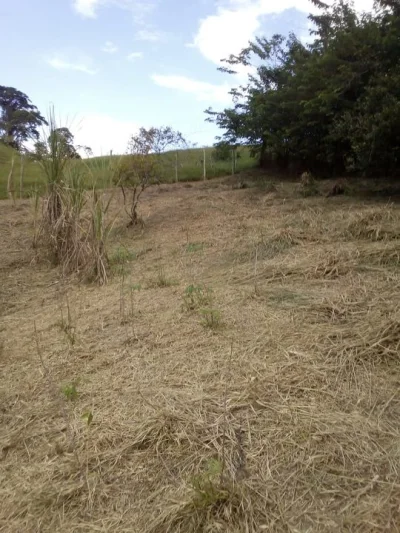 Vendo Terreno no Bairro Córrego dos Micos