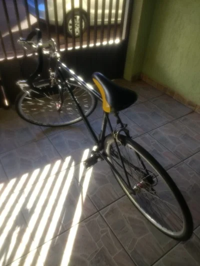 Caloi 10