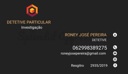 Sou Detetive Particular