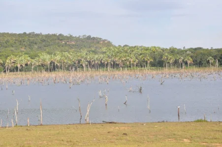 área na Beira do Lago do Manso