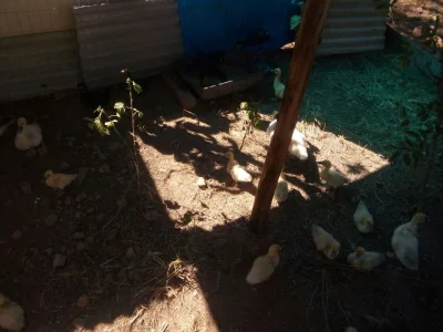 Linda Chácara Produtiva