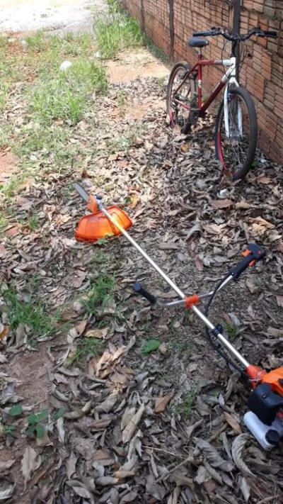 uma Rosadeira a Gasolina