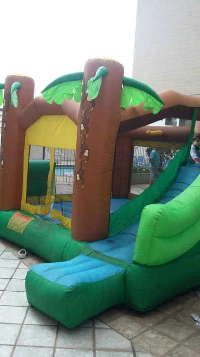 Consertos de Pula Pulas
