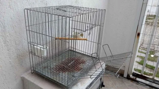 Gaiolas Usadas