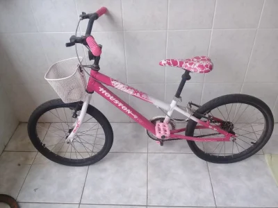 Bicicleta Aro 20