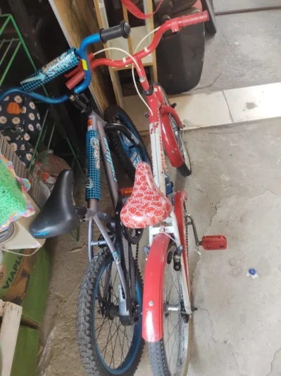 Bicicletas Lote
