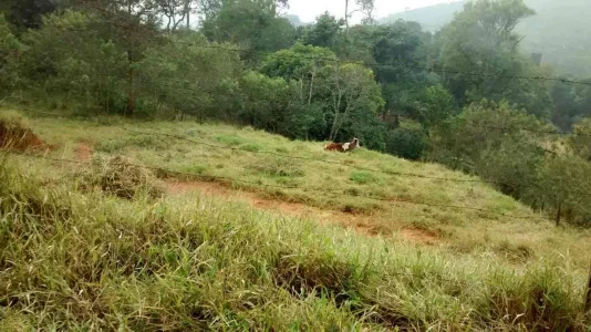 Vendo Terreno de 1000m2