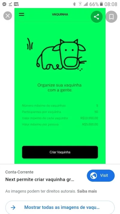 Grupo Vaquinha da Next