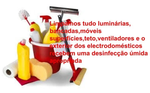 Diarista Domestica