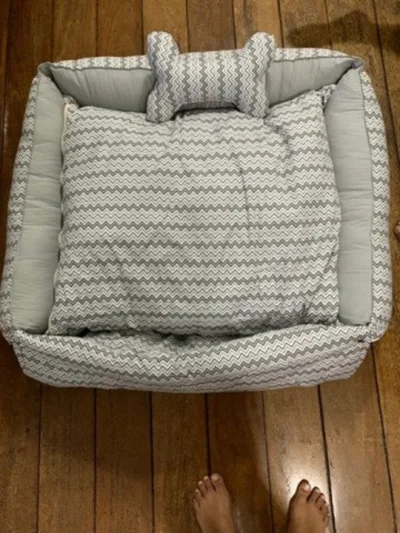 Caminha para Pet