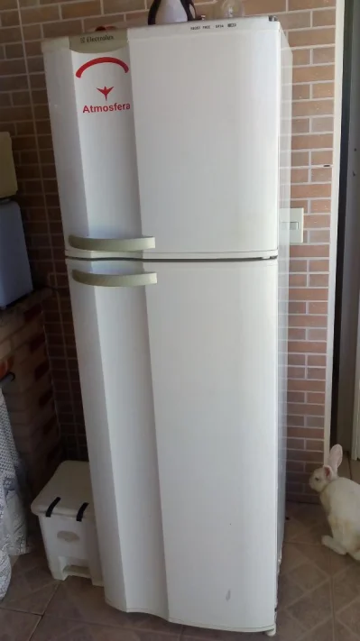 Vendo Geladeira Frost Free Df34 Electolux ( para Retirada de Peças)