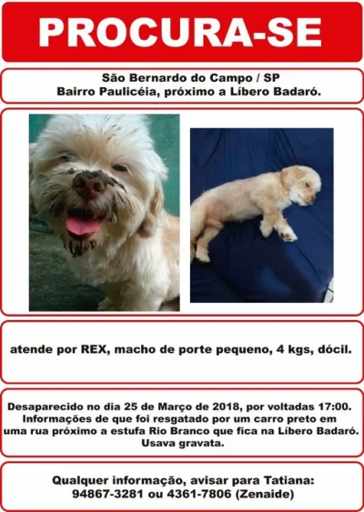 Meu Cachorro Fugiu!!um Yasha