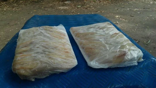 Filé de Tilapia