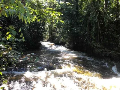 Corredeira à Venda, 750000 m2 por RS 500.000 - área Rural - Manaus-am
