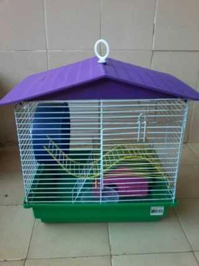 Gaiola para Hamster Verde com Telhado Roxo