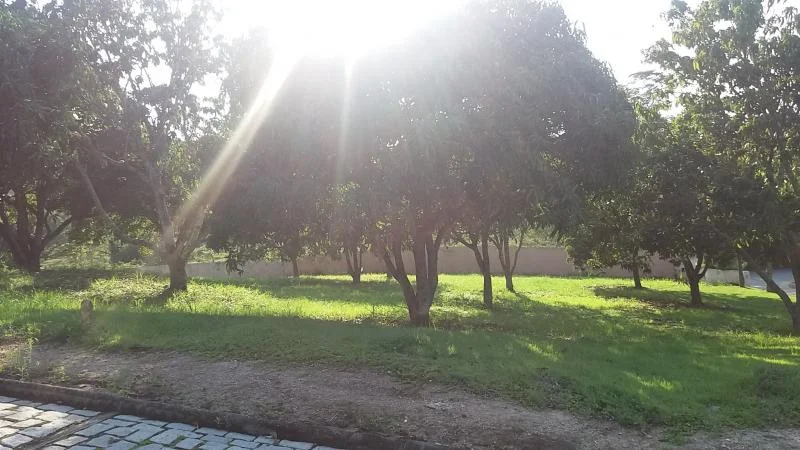 Ubatã - Terreno com 473 m2 em Maricá - Pindobas por 69 Mil à Venda