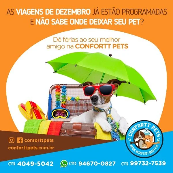 Hotel para Cães e Gatos em SP