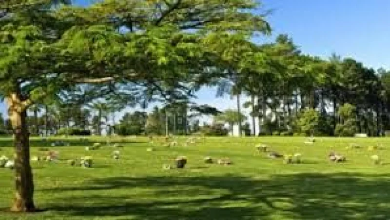Vendo Jazigo Cemitério Parque das Flores