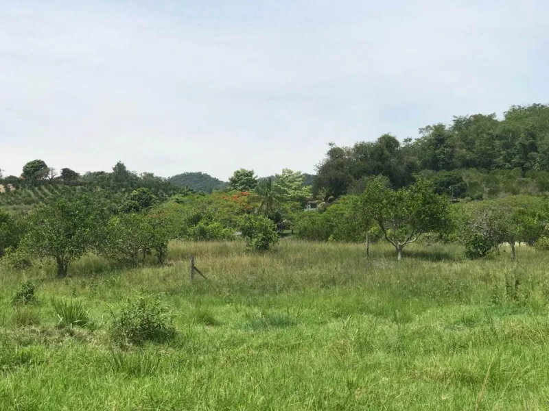 Excelente Sítio para Lazer e Moradia-tanguá