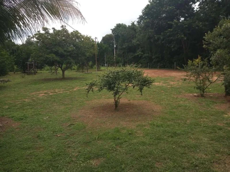 Chácara com Casa