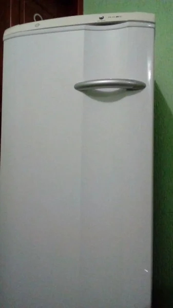 Freezer Electrolux Fe 22 Vertical