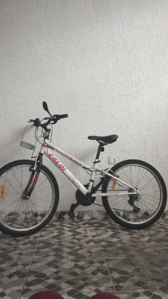 Bicicleta Caloi Ceci Aro 20