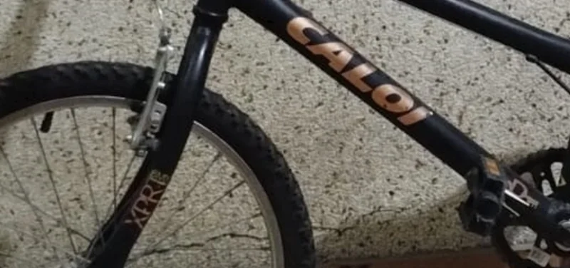 Bicicleta Caloi Expert Bmx Aro 20