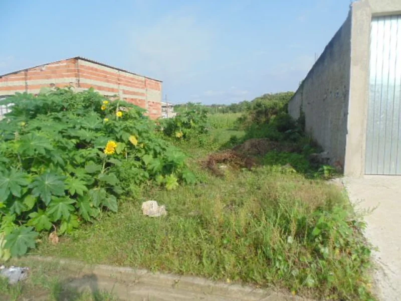 Terreno (lote) 370 m2 (10 X 37) - 750 Mts da Praia