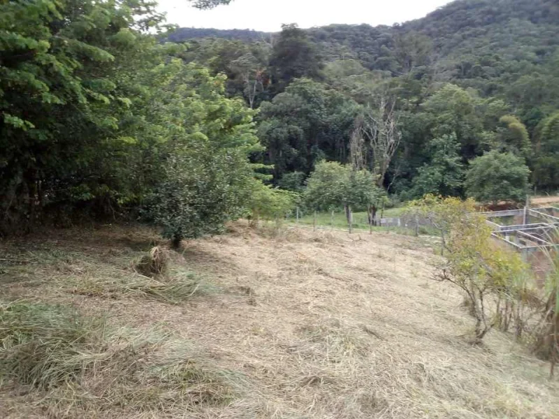Vendo Terreno no Córrego dos Micos