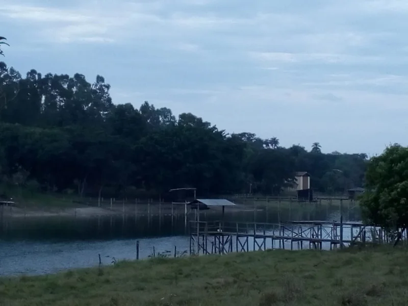 Ranchos -lotes-terrenos em Promissão-s.p+