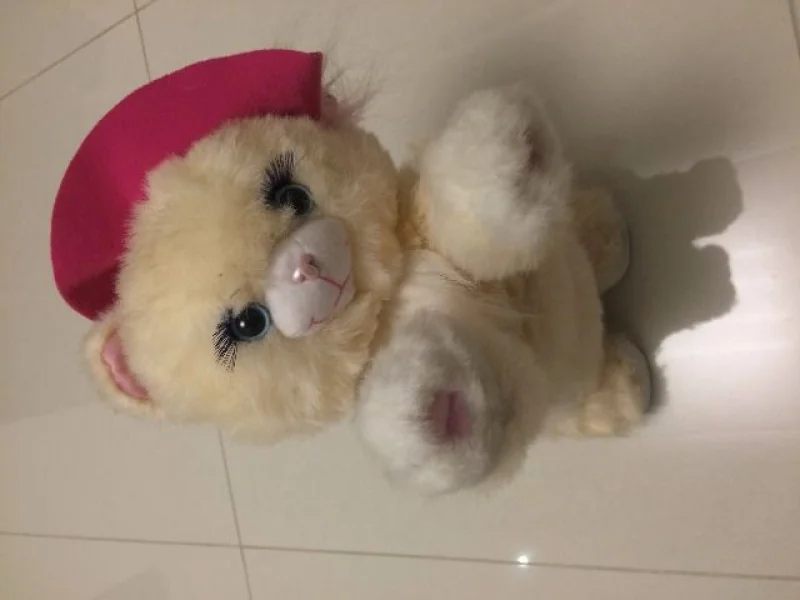 Gatinha Robo