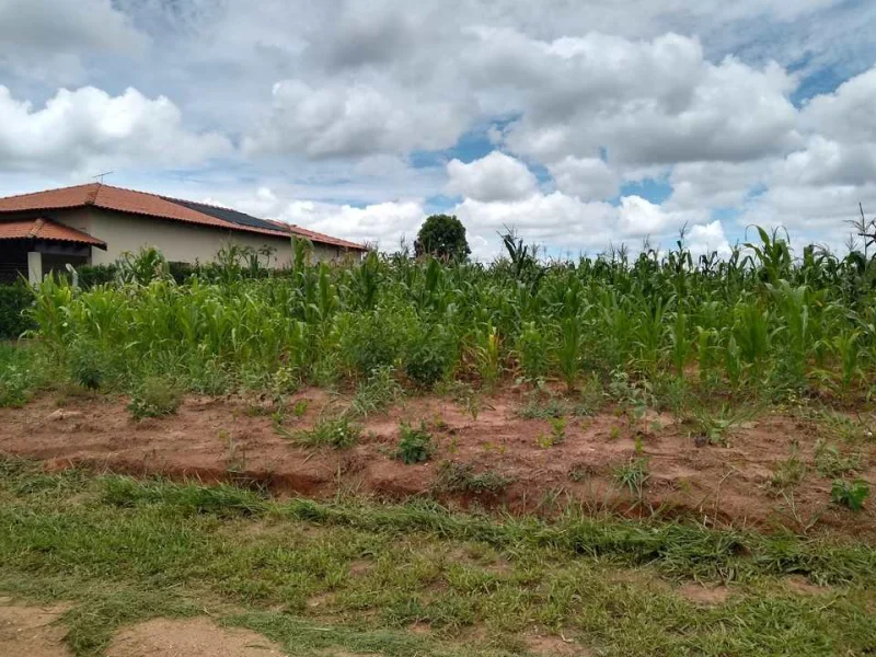 Terreno 1000m2 Chácara Parque do Sabiá