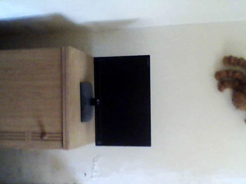 Monitor de 20 Polegadas