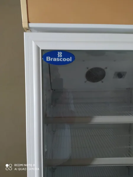 Freezer Brascool