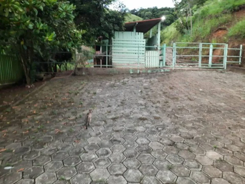 Vendo Sítio 60 Mil Metros