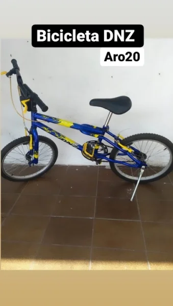 Bicicleta Dnz Aro20