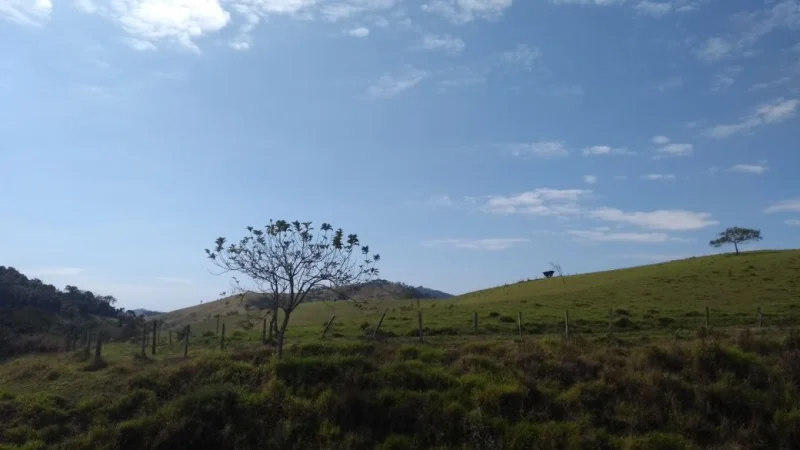 Fazendão de Criação de Gado!!!