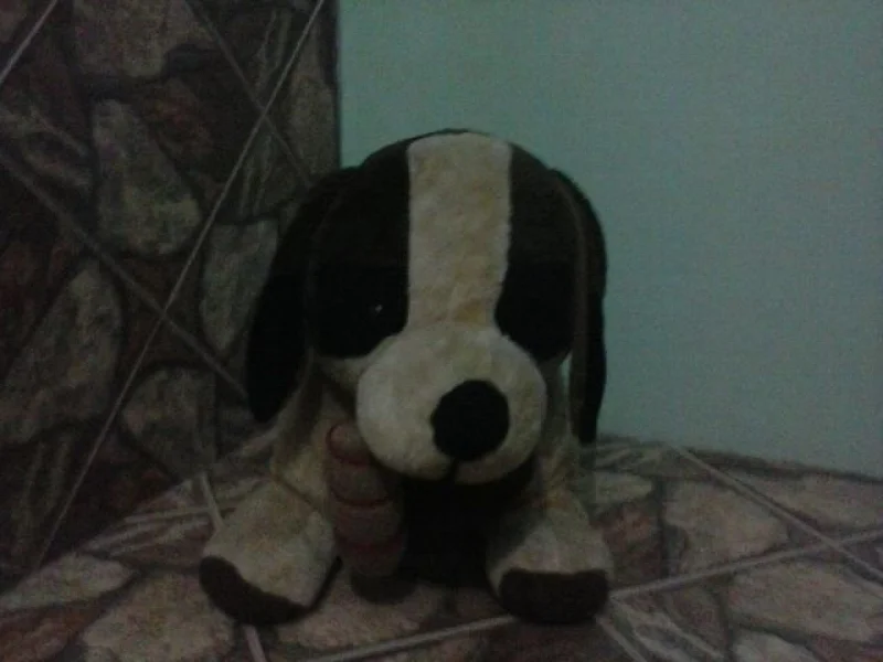 Cachorro de Pelúcia