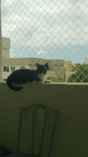 Telas de Proteção