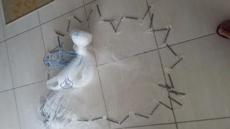 Pesacaria