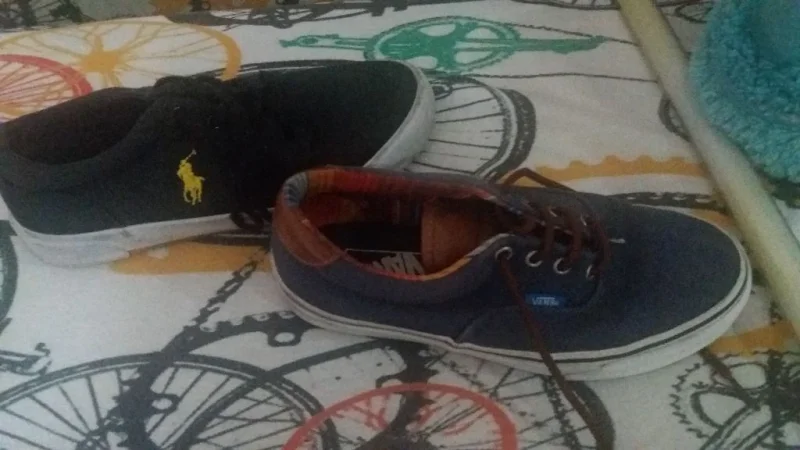 Tenis