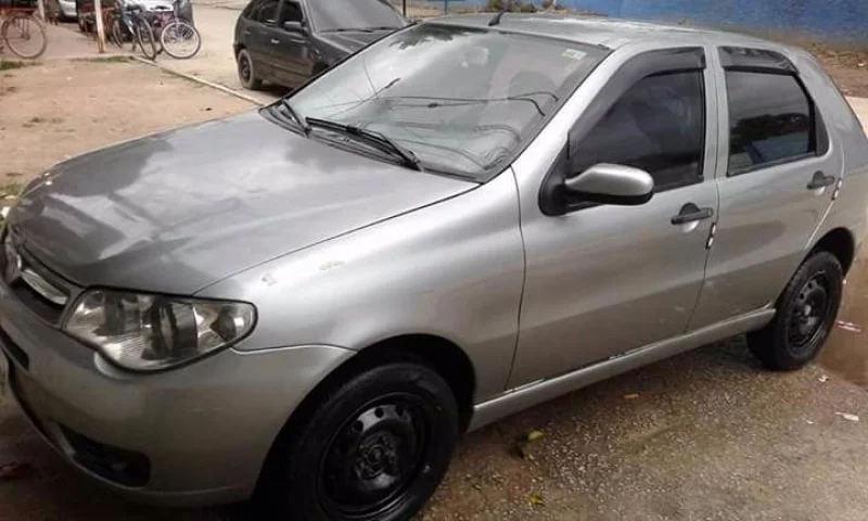 Palio 2009/2010 Pitbull