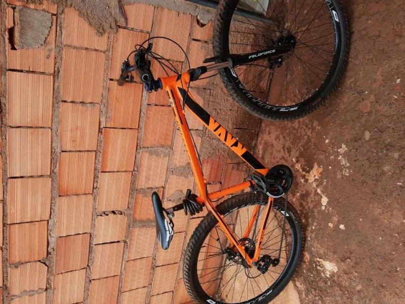 Bike Rava Aro 29