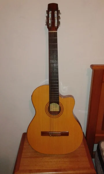 Violão Elétrico Di Giorgio