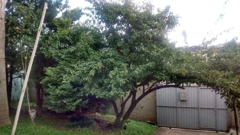 Vende SE Terreno com Casa