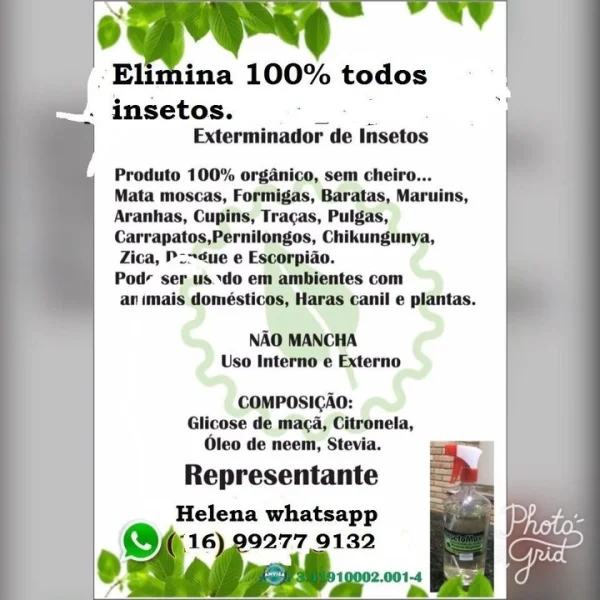 Mata Insetos