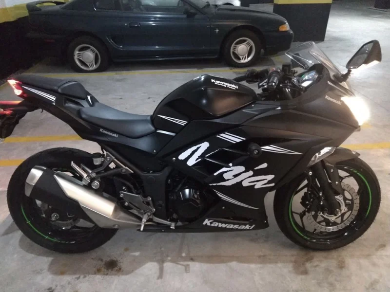 Kawasaki Ninja 300 (ABS) 2018